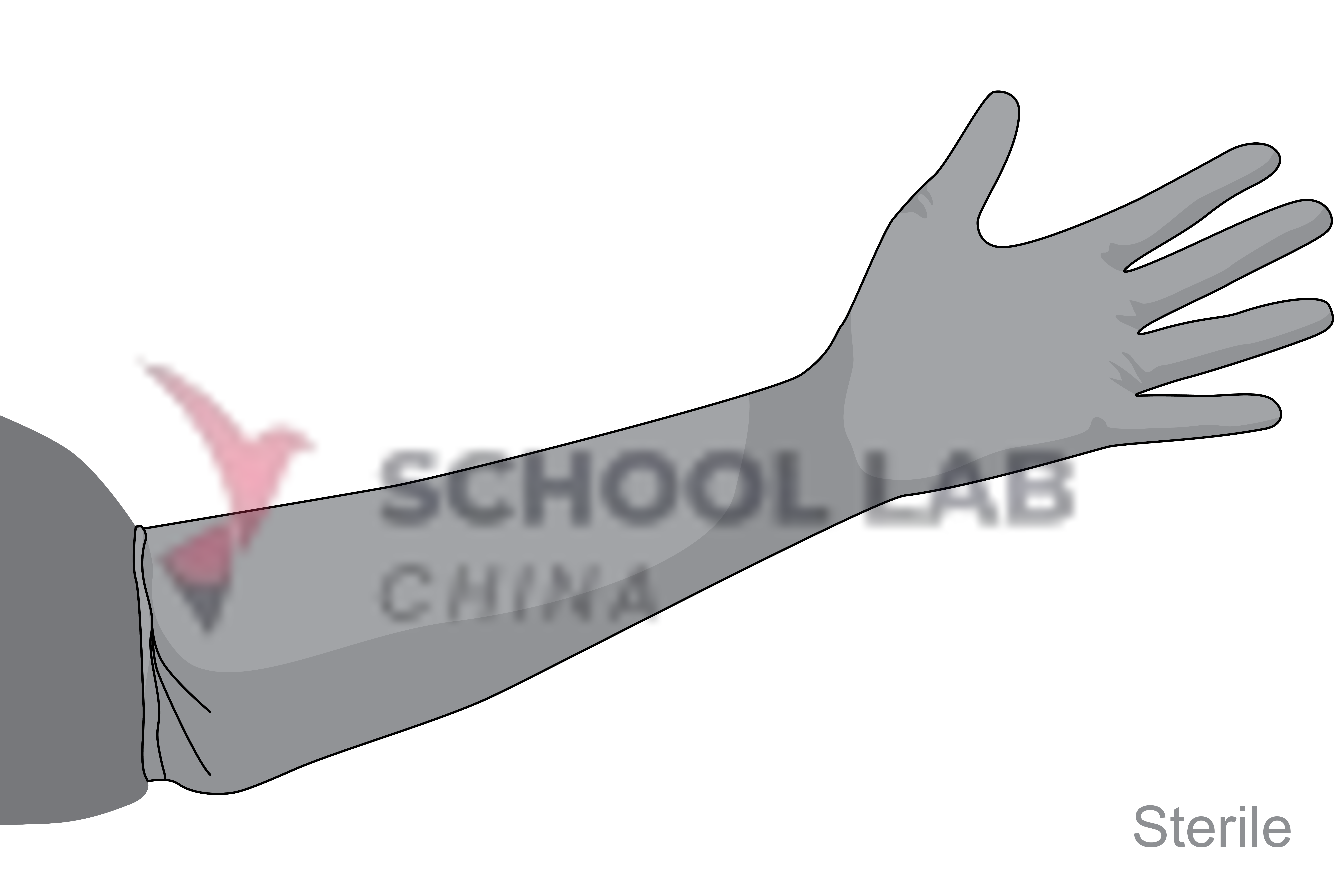 Gloves,gyn,pwdfree,medium,ster,s.u.,pair